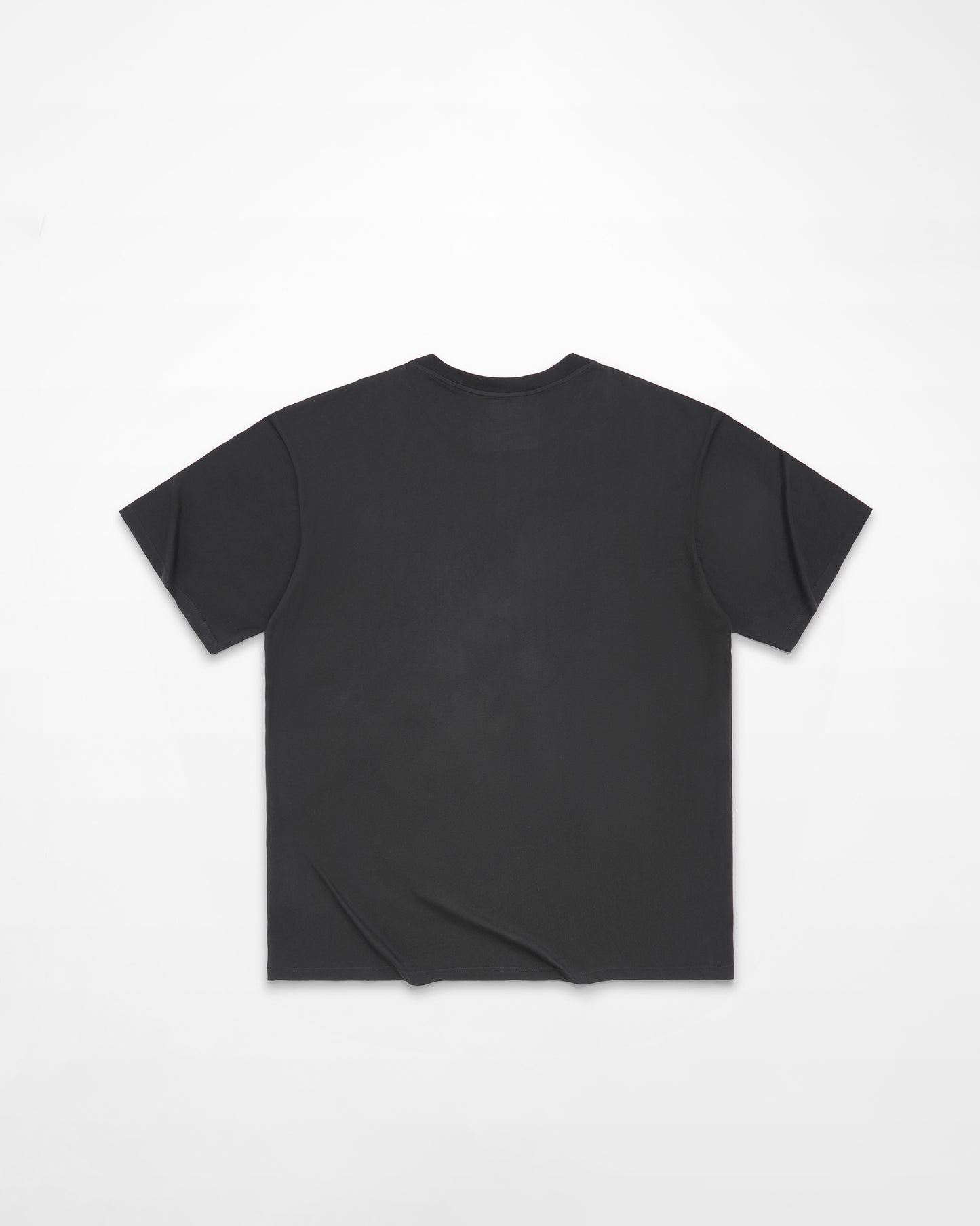 Historia Deletus Standard T-Shirt